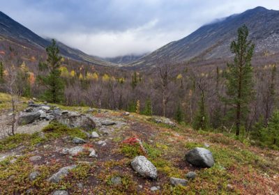 К берегам Арктики, 5 дней