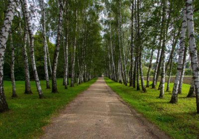 На перекрёстке дорог и эпох, 2 дня