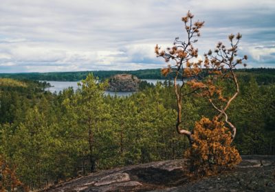 Другая Карелия — места силы, 1 день, из СПб