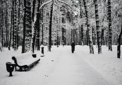 Незабываемые каникулы в Минске, 3 дня