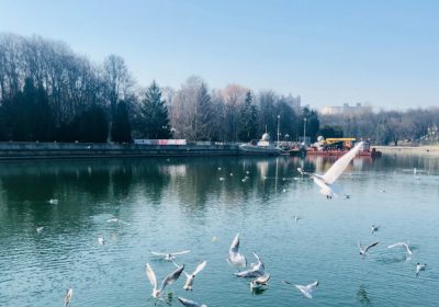 Рождественский колорит Минска и Гродно, 4 дней