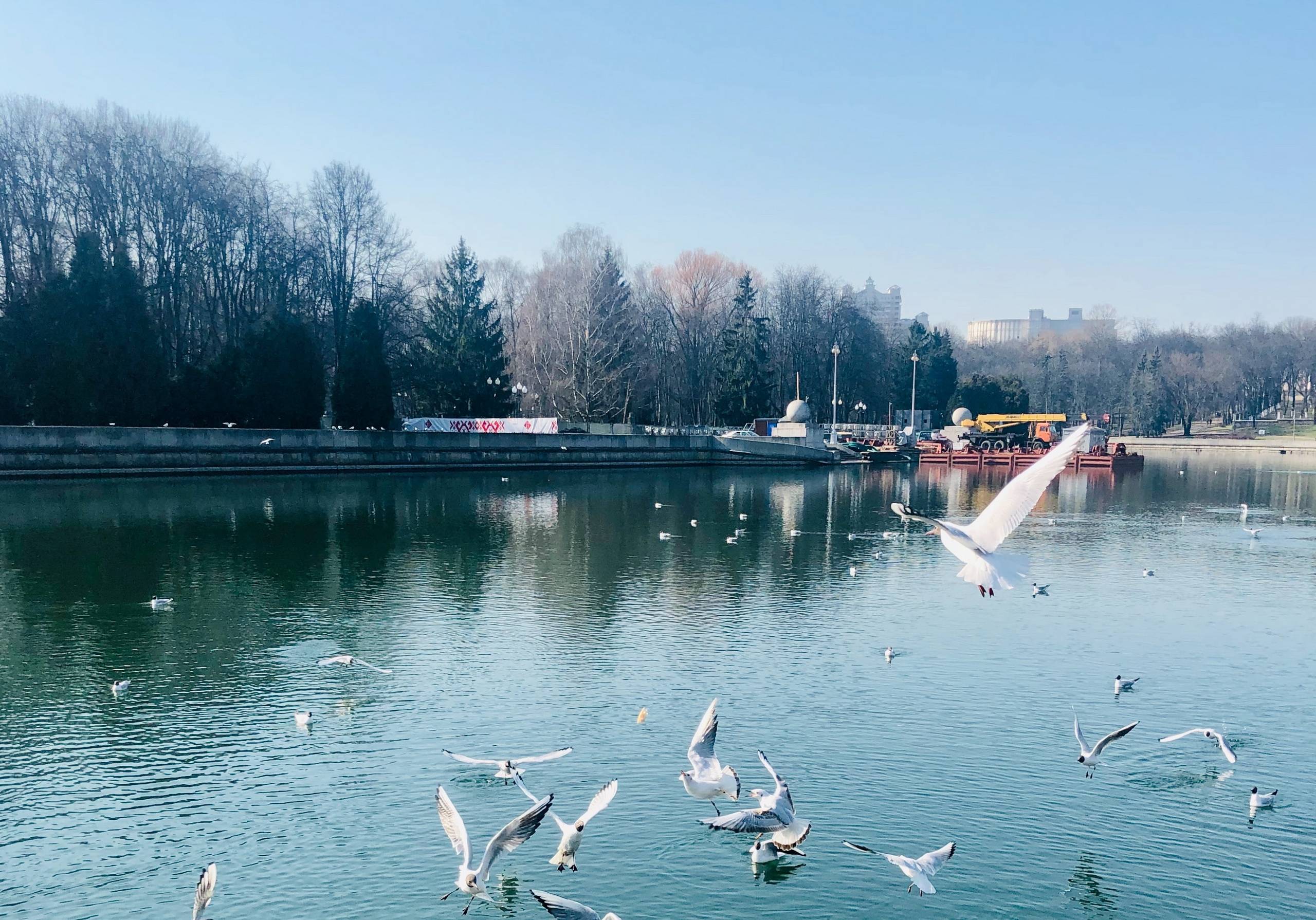 Рождественский колорит Минска и Гродно