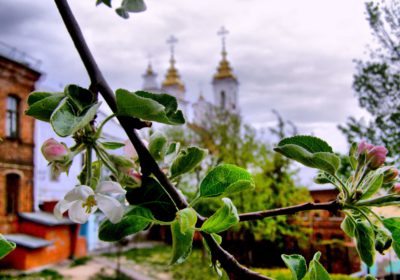 Живописный Витебск 2 дня, + жд