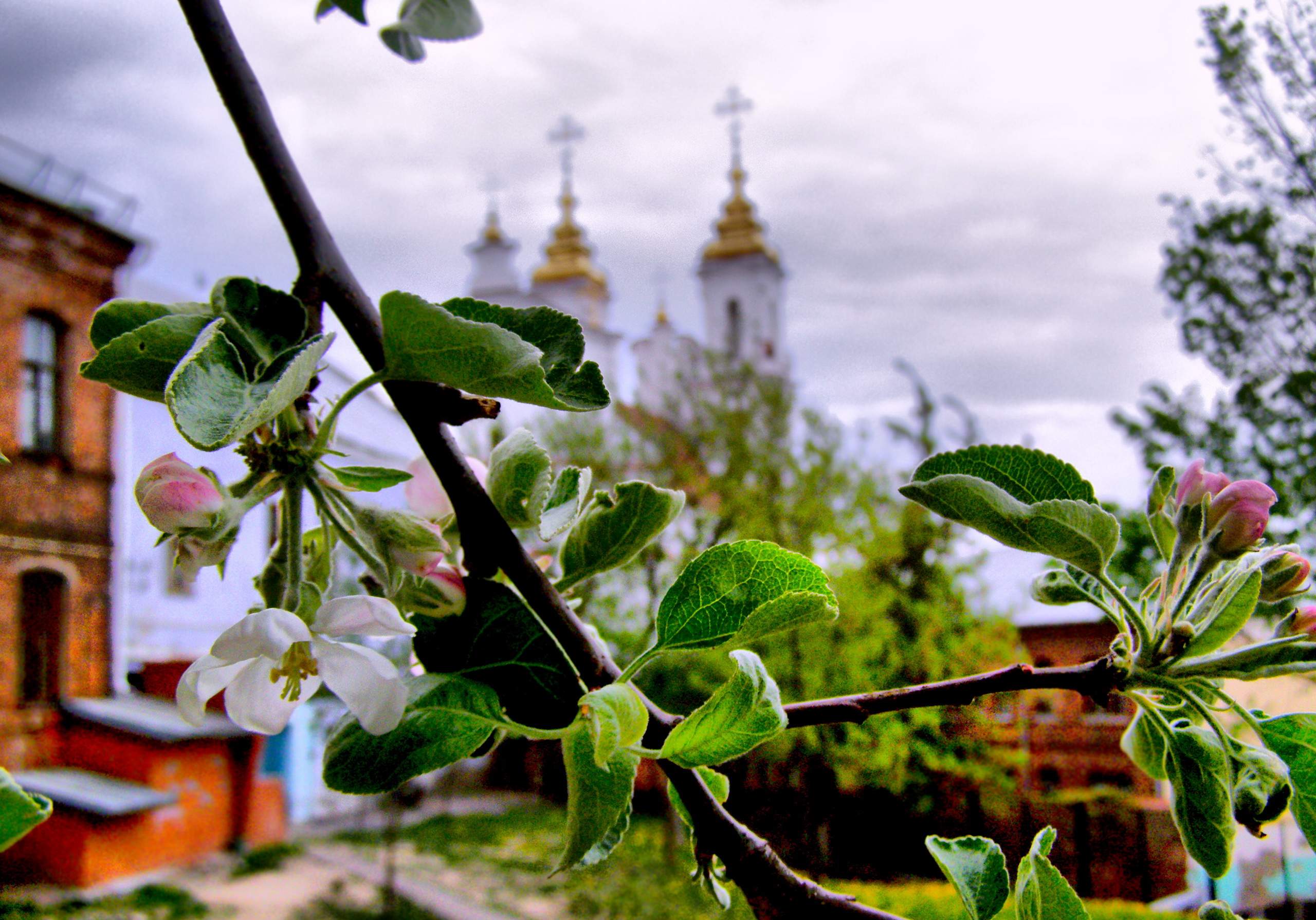 Живописный Витебск 2 дня, + жд