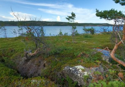 Мега-тур в Карелию, 8 дней