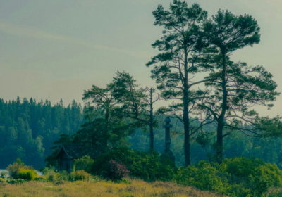 Легендарные острова Карелии, 3 дня