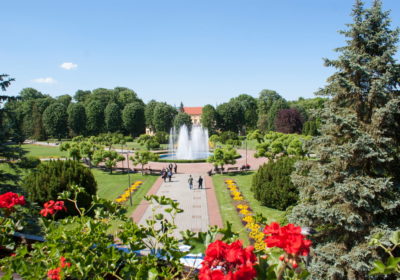 Сербия лайт с отдыхом в СПА, 8 дней, + аб