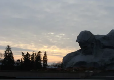 Путешествие в Брест и Беловежскую пущу 6 дней, + жд
