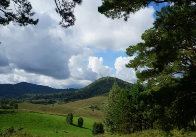 Алтай – Земли Алтарь, 14 дней