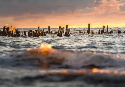 От Калининграда к морю, 7 дней