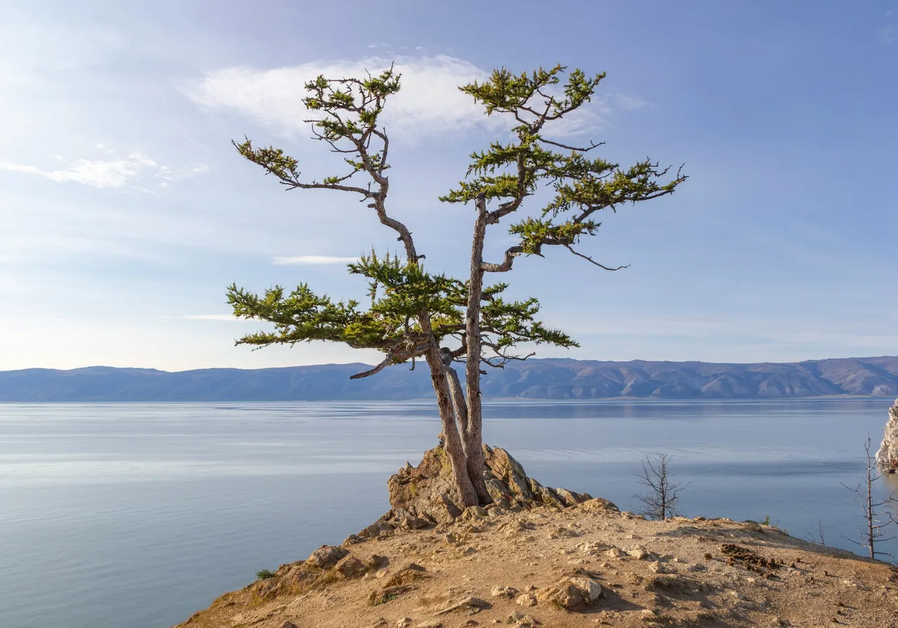 Осенняя симфония, 6 дней