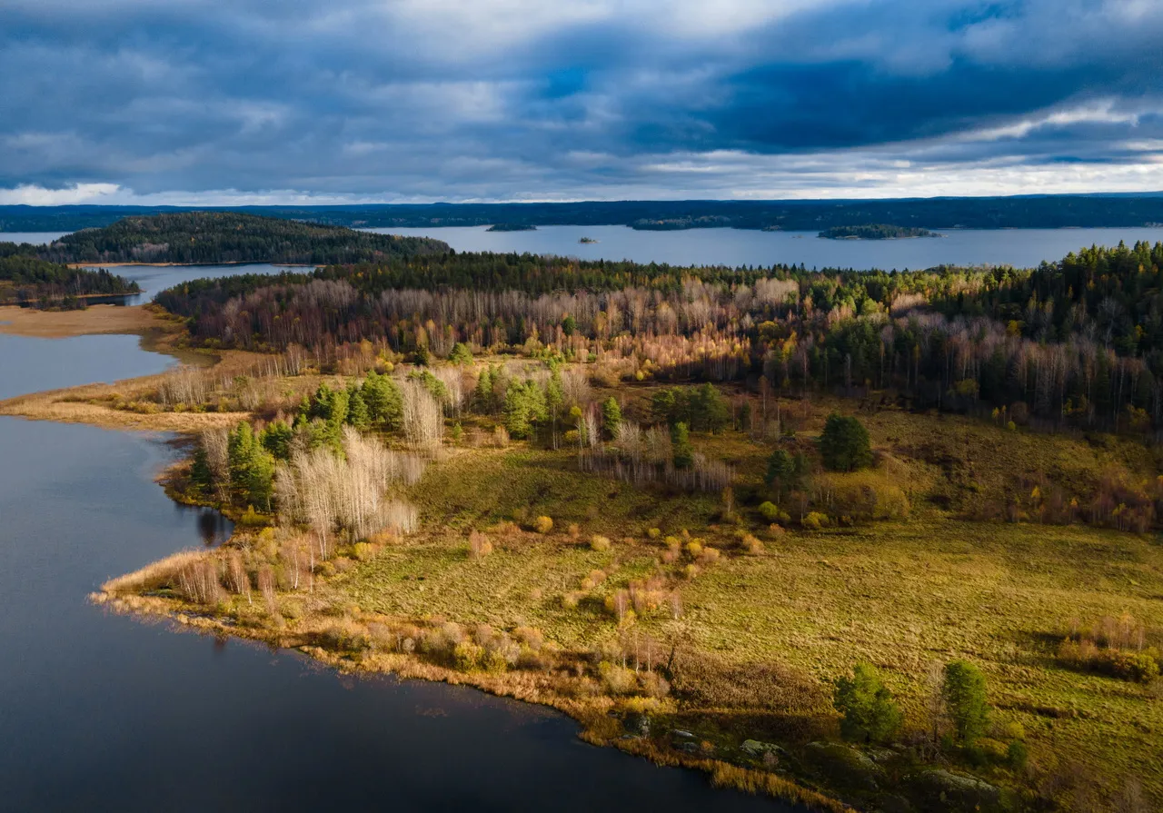 Карельская палитра, 5 дней