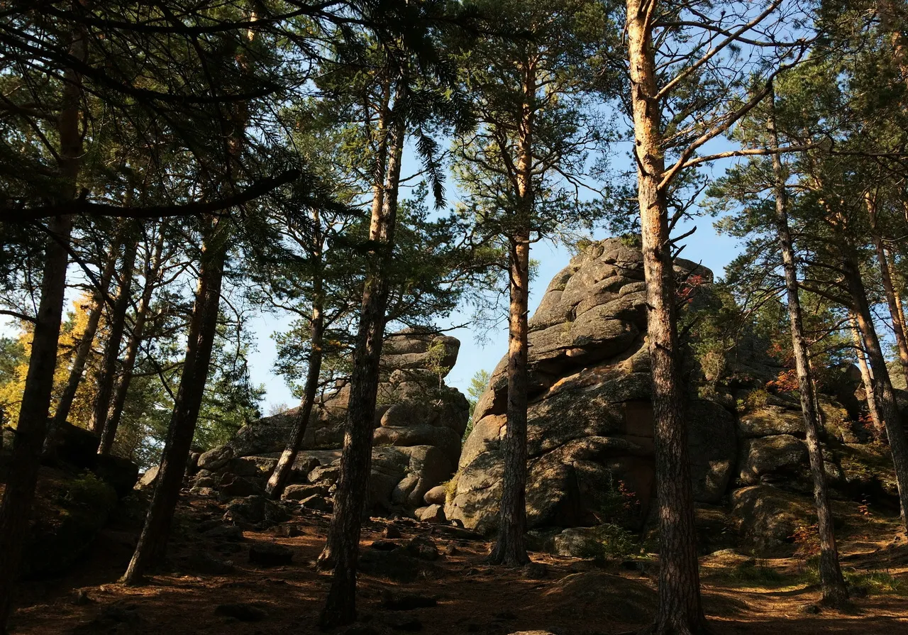 Выходные в Красноярске, 5 дней