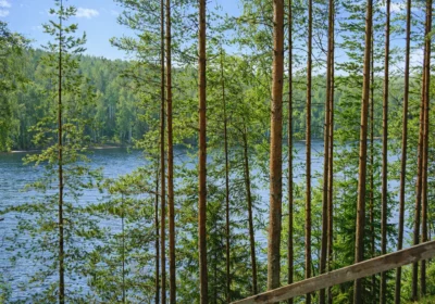 Отдохни в Карелии, 8 дней