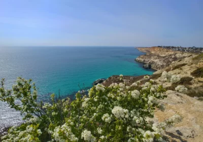 Бал хризантем в Крыму, 9 дней, жд вкл