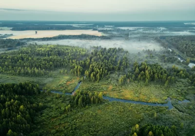 Гармония Беларуси, 7 дней