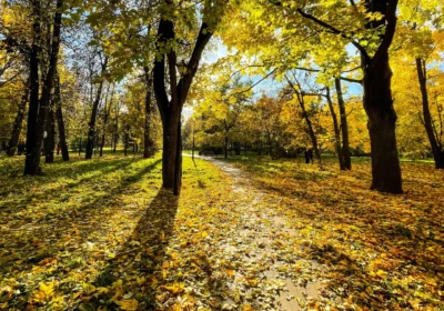 Золотая осень Подмосковья, 3 дня