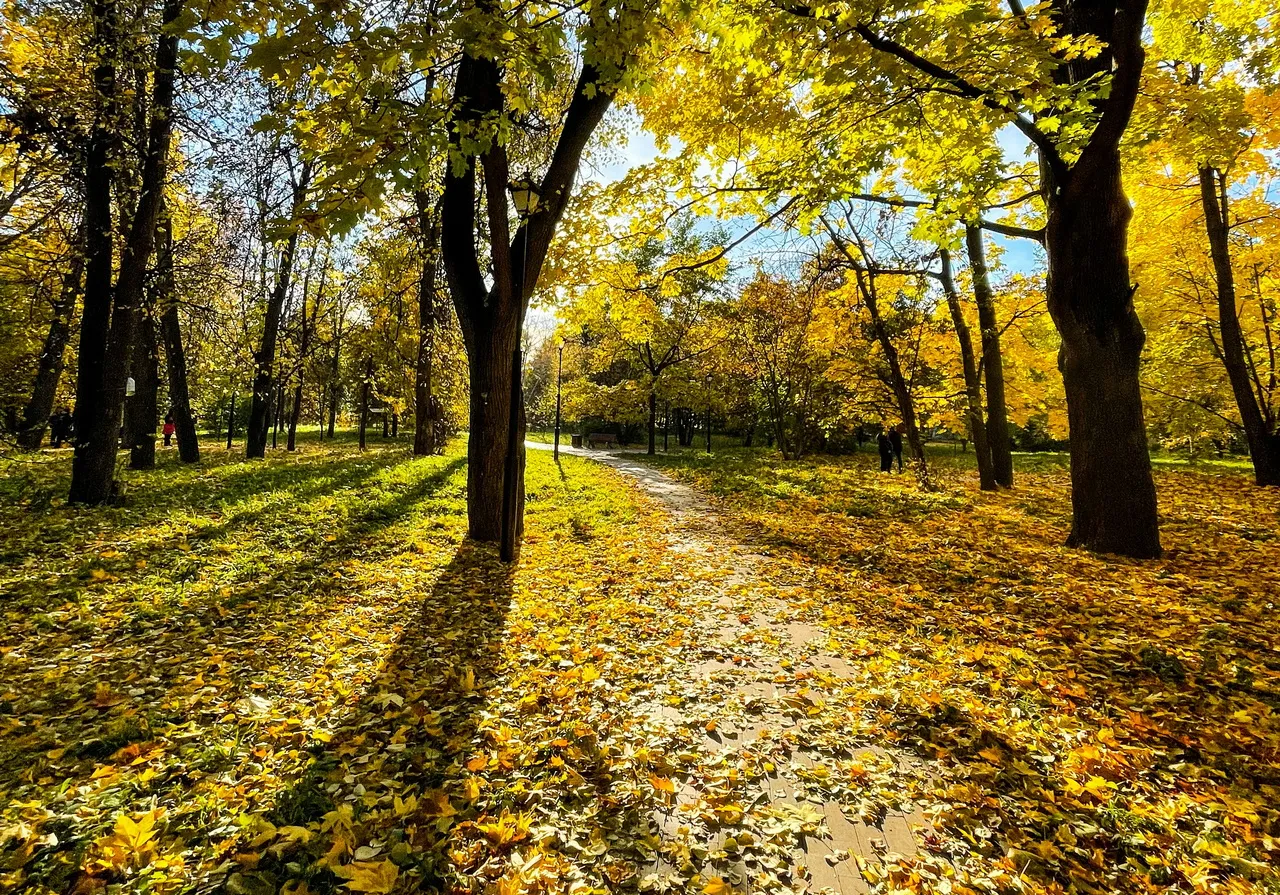 Золотая осень Подмосковья, 3 дня