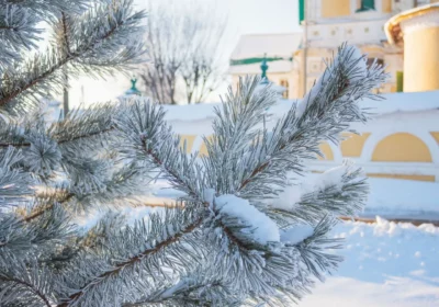 Все лучшее за 3 дня на каникулы